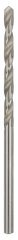 Bosch HSS-G 2,9*61 mm 10'lu Paket