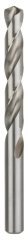 Bosch HSS-G 13*151 mm