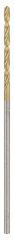 Bosch HSS-TiN 1*34 mm
